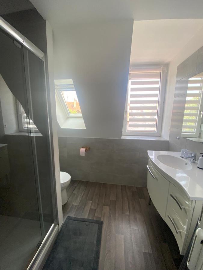 Appartement Cosy A Colmar Dış mekan fotoğraf