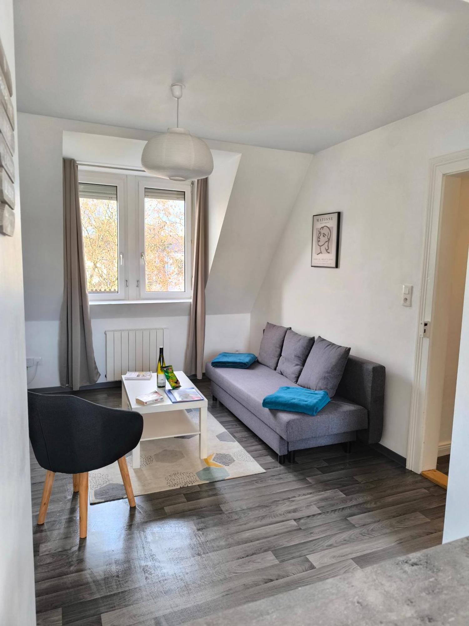 Appartement Cosy A Colmar Dış mekan fotoğraf