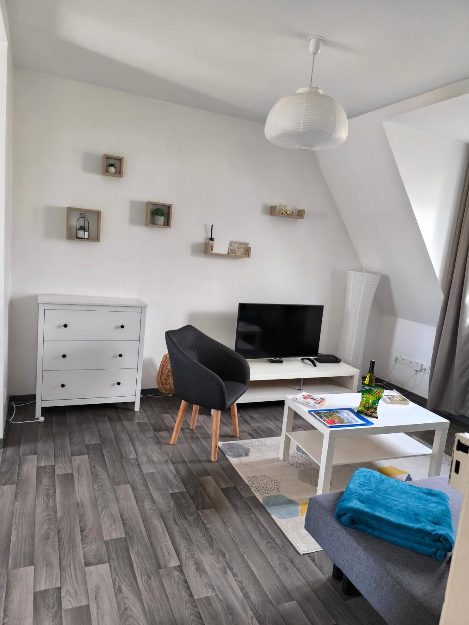 Appartement Cosy A Colmar Dış mekan fotoğraf