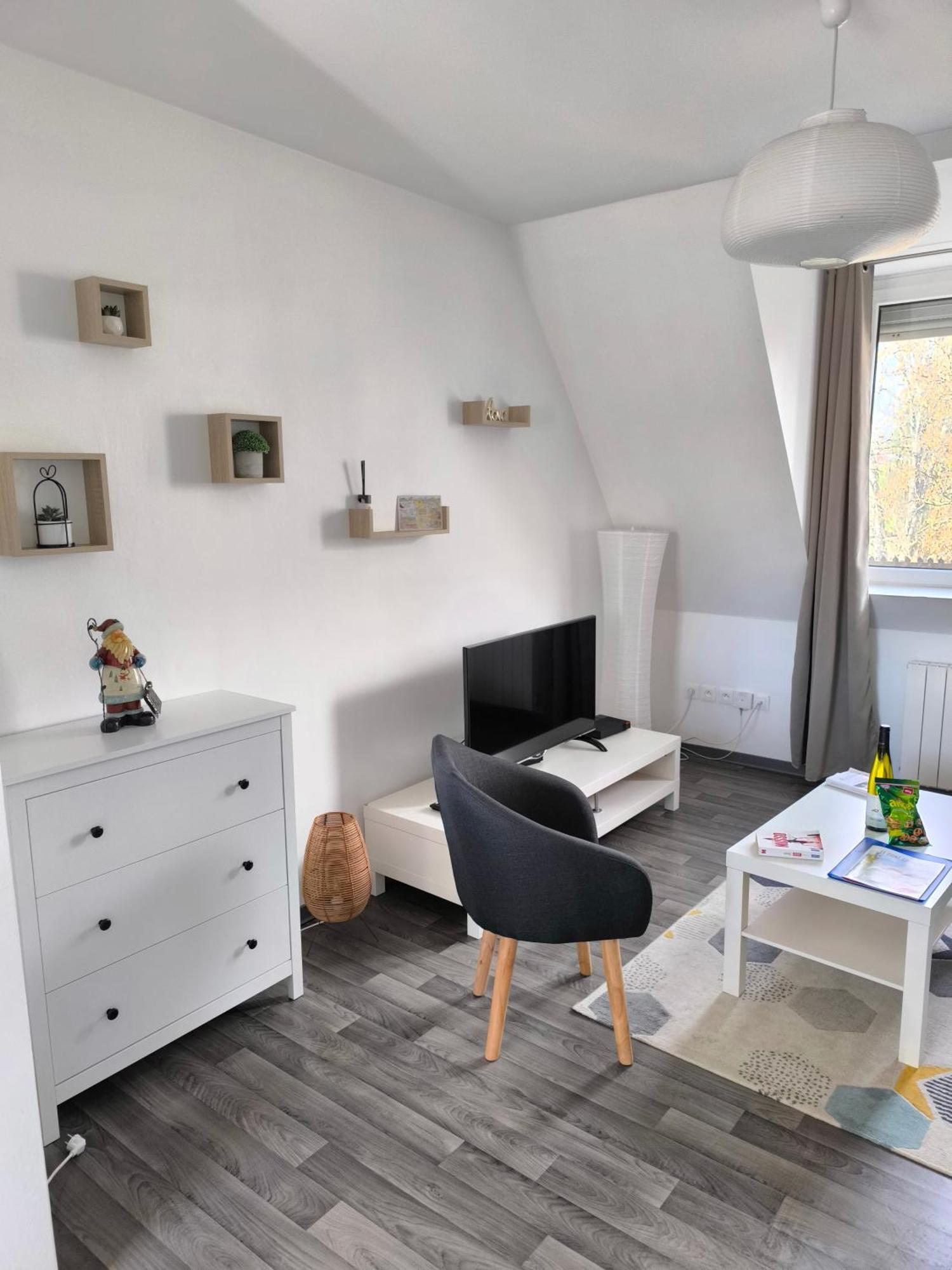 Appartement Cosy A Colmar Dış mekan fotoğraf